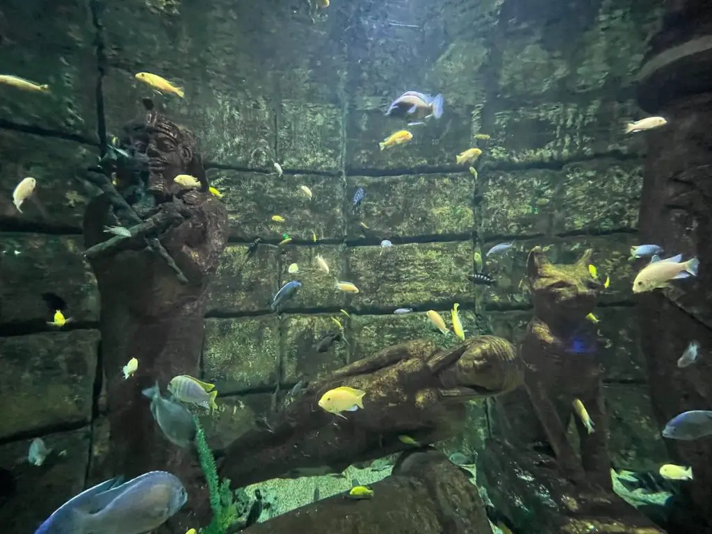 Antalya Aquarium Fische 2023 - Türkei Life