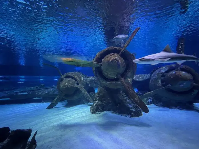 Antalya Aquarium Flugzeug