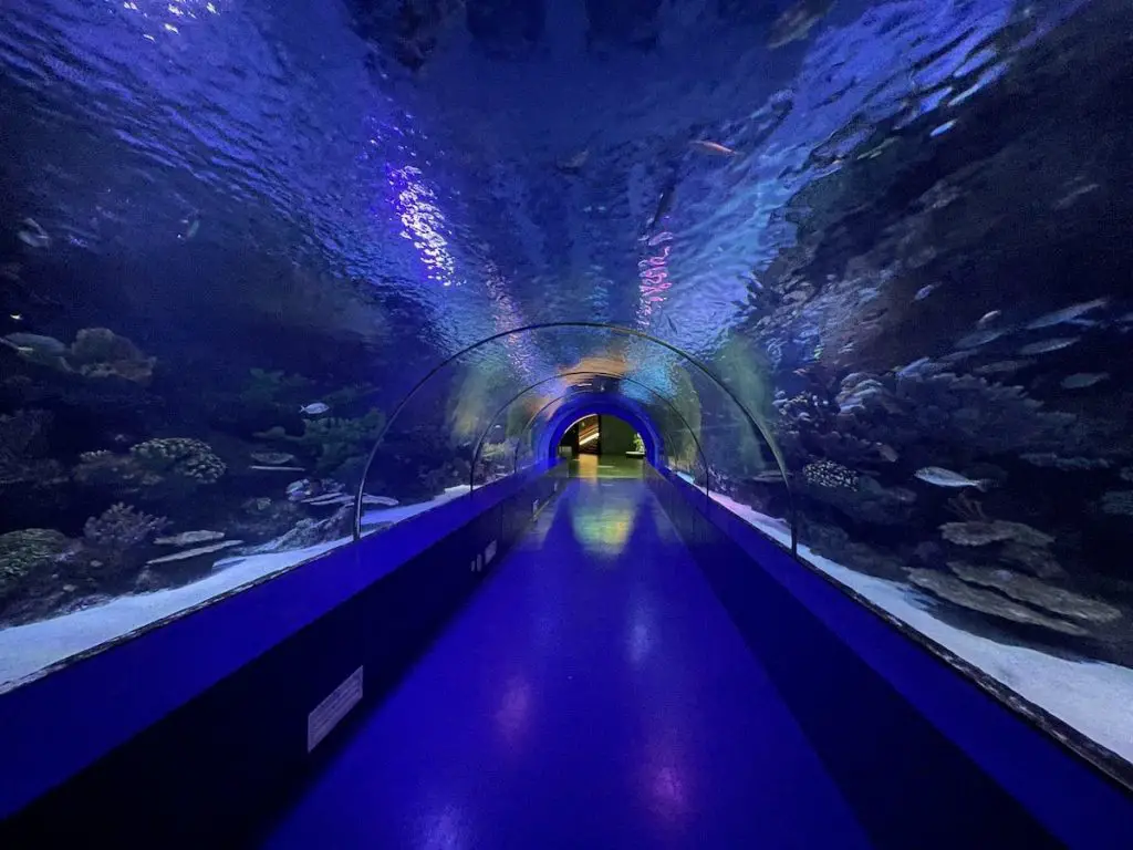 Antalya Aquarium Tunel
