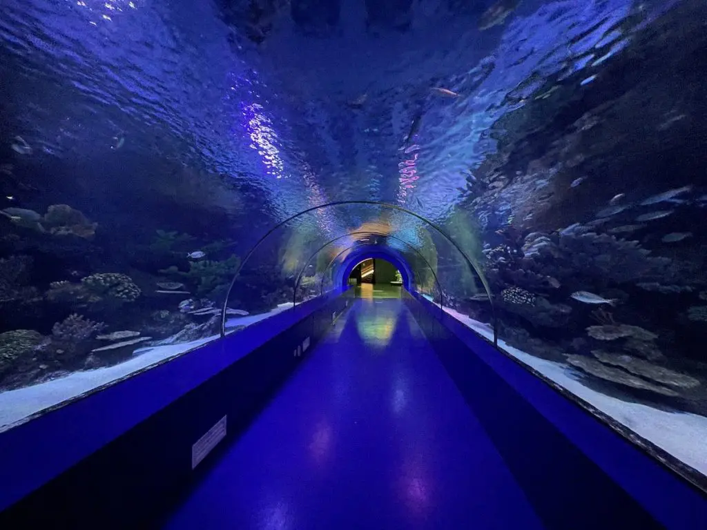 Antalya Aquarium Tunel 2025 - Türkei Life Antalya Aquarium Tunel