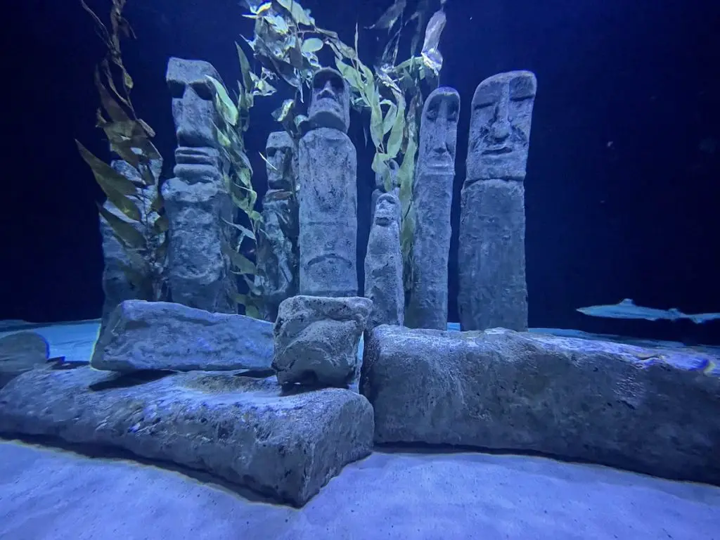 Antalya Aquarium Unterwasserwelt 2023 - Türkei Life