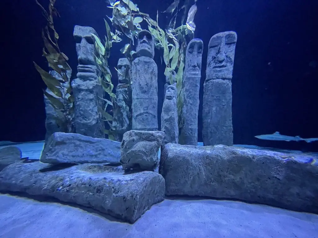 Antalya Aquarium Unterwasserwelt 2025 - Türkei Life Antalya Aquarium Unterwasserwelt 2025 - Türkei Life