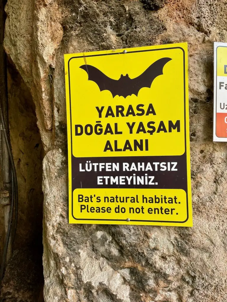 Düden Şelalesi Bats 2023 - Turkey Life