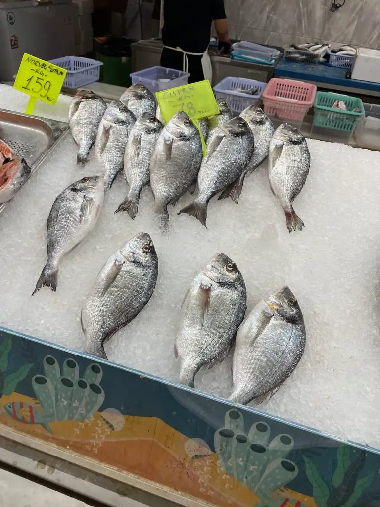 Ekdağ Balik Carşisi Fresh Fish 2023 - Turkey Life