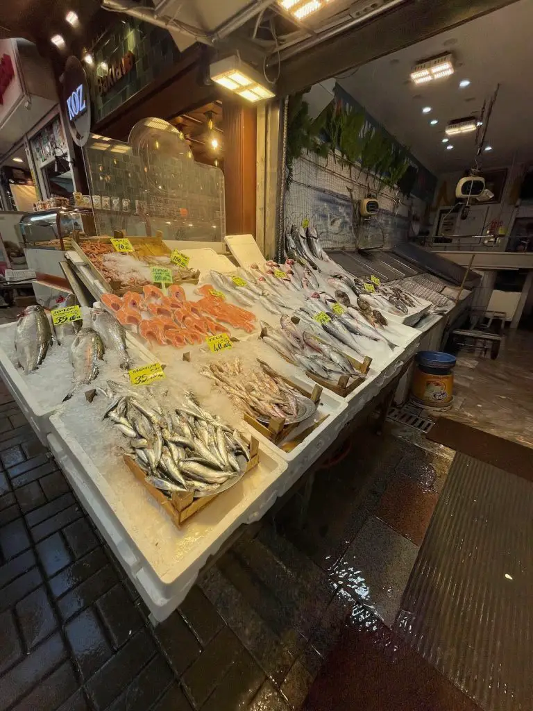 קדיקוי באיסטנבול אתרים ואטרקציות מובילות שוק הדגים 2024 - חיים בטורקיה